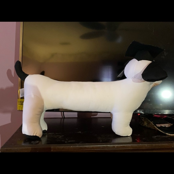 Graduation Dog - Picture 2 of 3